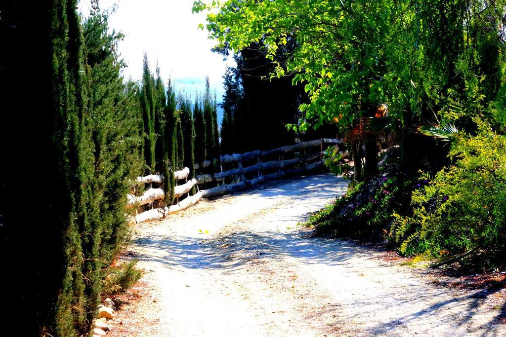 Cortijo De La Media Luna Мохакар Экстерьер фото
